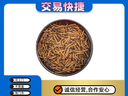 济南市章丘回收散虫草
