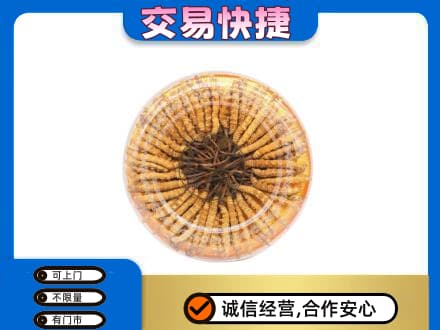 济南市章丘回收虫草礼盒